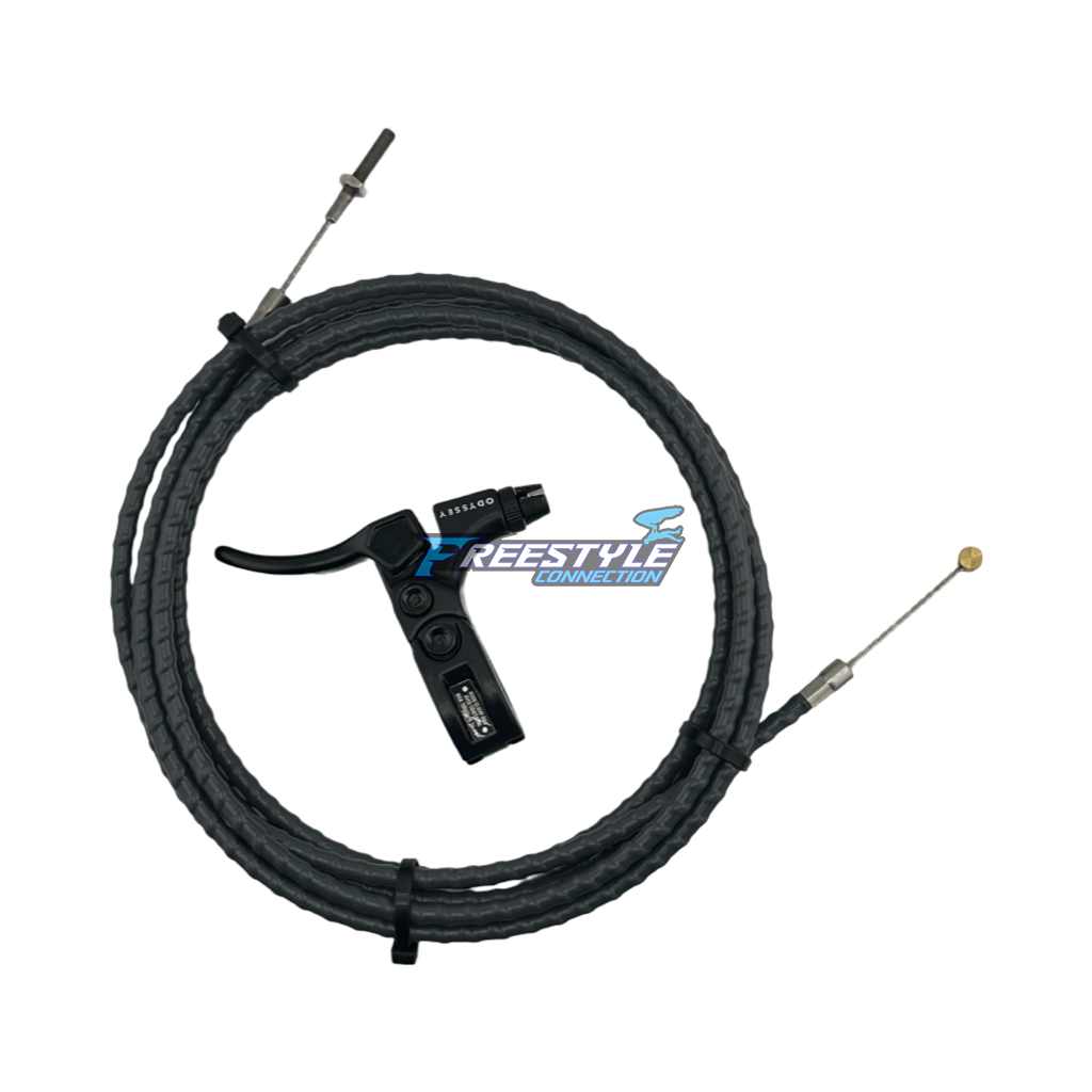 P&P Raptor “FR” (Freeride/Race) 144-148 trim.